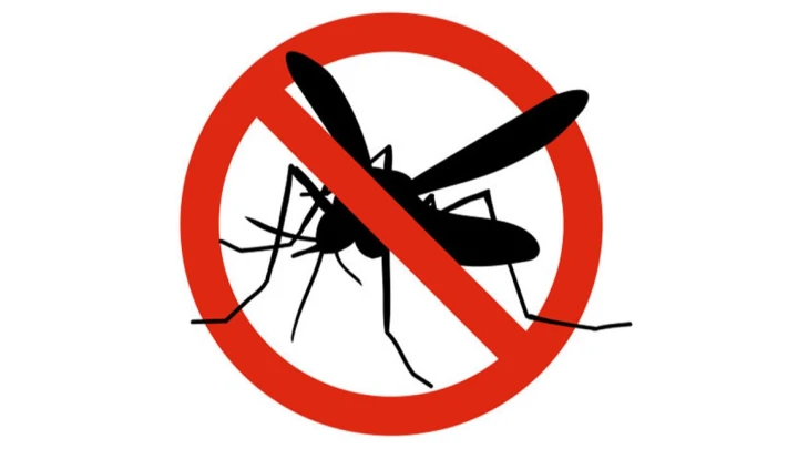“Help! I’m terrified of bugs, but there are dozens of spiders in my house!”