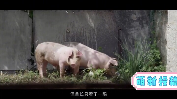 首长掰开包子一看，竟全是青菜，我非常欣赏彭总的性格，刚正不阿