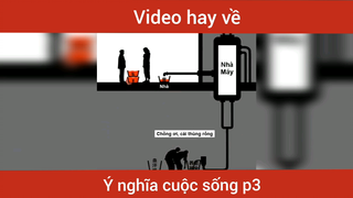 Ý Nghĩa Cuộc Sống Về Cuộc Sống Vợ Chồng #videohaynhat