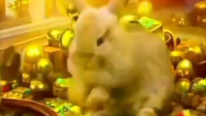 กระต่ายรวย