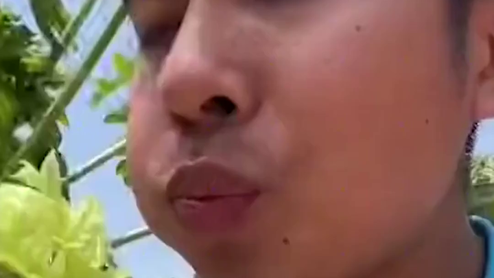 พี่ชายสายกินท้าทายเส้นทางเฉพาะกลุ่ม: กินตั้งแต่สวนไป๋เฉ่าจนถึงซานเหว่ยซูอู่!