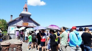Current situation of domestic tourism