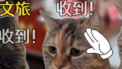 เมื่อมันฝรั่งน้อยทางใต้มา เสือไซบีเรีย: อืม... พวกเราคือ Golden Gradient ตะวันออกเฉียงเหนือ ~ ถูกต้อ