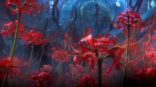 Perfect World Episode 232 Preview
