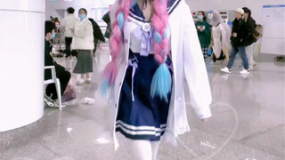 My cutest place (Minato Aqua cosplay)
