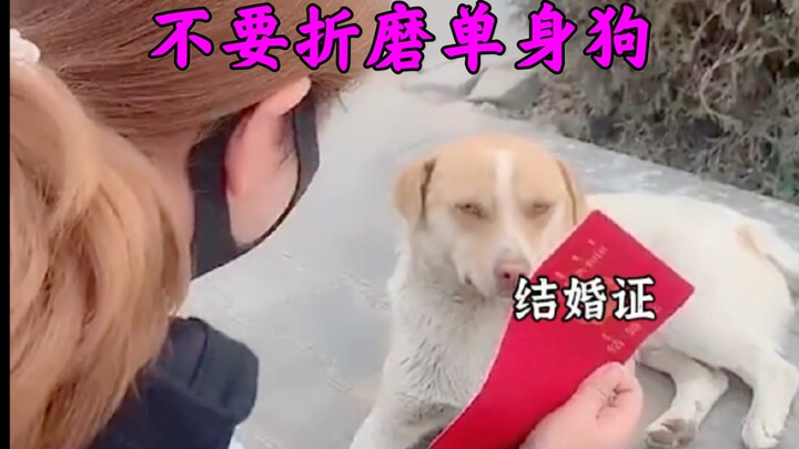 Look, single people watching other singles.