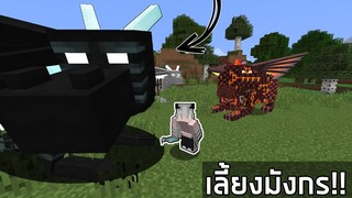 จะเกิดอะไรขึ้น? ถ้า ผมเลี้ยงมังกรในมายคราฟ! l Minecraft ( เลี้ยงมังกรวิทเทอร์,ไฟ,น้ำ,นรก )