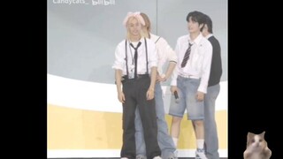 «سيد الرقص المنزلي لي في لي»