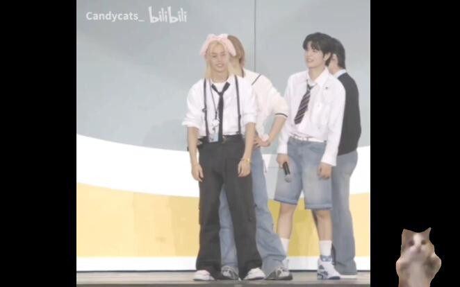 «سيد الرقص المنزلي لي في لي»