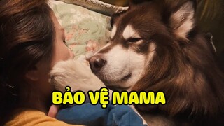 Đừng hòng thằng SEN nào đụng zô MAMA tui |Yêu Lu