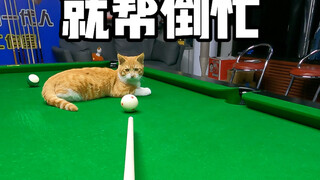 Cuối cùng thì chỉ gây thêm rắc rối thôi.