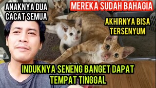 Mengharukan Induk Kucing Ini Sangat Bahagia Bersama Anak-Anaknya Yang Cacat Saat Di Adopsi..!