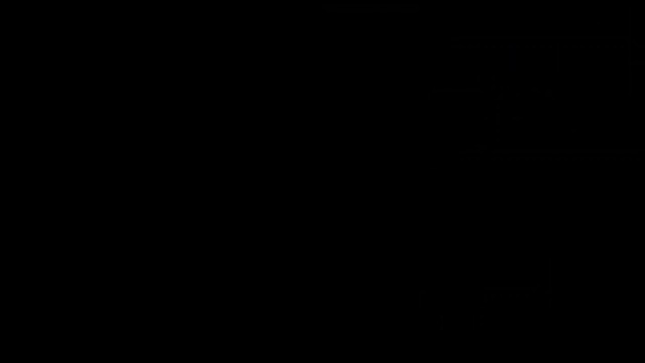 LSR9