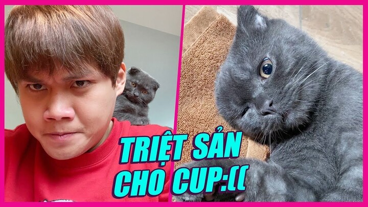 DAILY VLOG: RƠI NƯỚC MẮT ĐƯA "CUP" ĐI TRIỆT SẢN...😢😢😢- CUP THE CAT