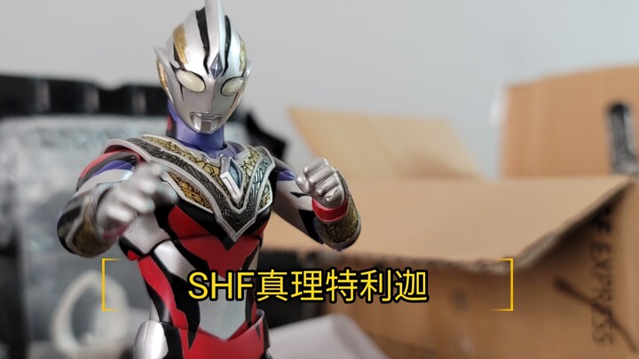 shf真理特利迦《自改成品展示》