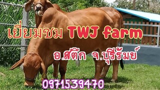 เยี่ยมชมฟาร์ม TWJ farm ของคุณลุงอุทัย จันทวงค์ อ.สตึก จ.บุรีรัมย์