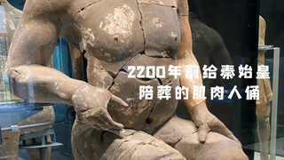 How strong is Qin Shi Huang's action figure? A muscular man from 2,200 years ago!