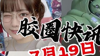 【أخبار مطاطية 19 يوليو】