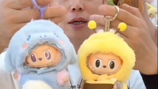 拉布布杂交之父