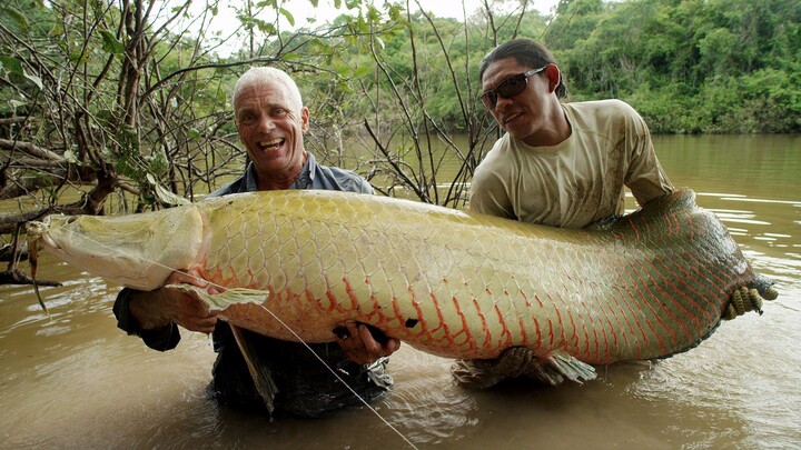 Saat Jeremy Wade Di Lembah Sungai Amazon, Amerika Selatan.