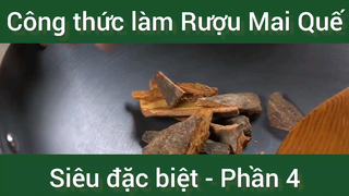 Công thức làm Rượu Mai Quế siêu đặc biệt phần 4