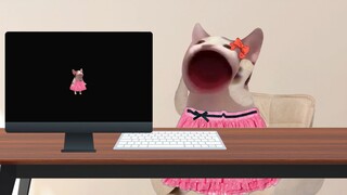 找个工作真不容易