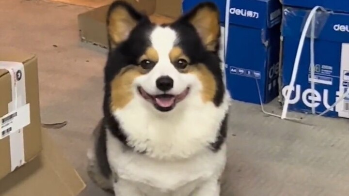 “Có những điều nhỏ bé bẩm sinh đã tồn tại để chữa lành cho bạn”