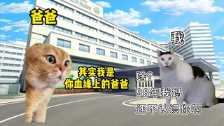 【猫meme】父母爱情生长在每一个平凡的日子里。。