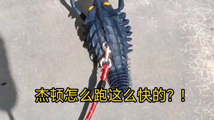 怎么一放出来就这么兴奋？!