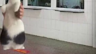 Cahaya masa muda tidak boleh disembunyikan di bawah rasa rendah diri