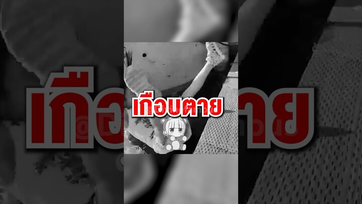 MrBeast ดูคลิปสุดอันตราย!! ☠️ #shorts #fypシ #tiktok #clips