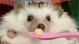 จากไม่มีความสุขเป็นมีความสุข