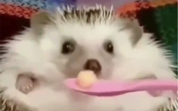 จากไม่มีความสุขเป็นมีความสุข