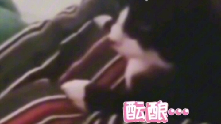 Kalau dipakaiin ke kucing perah jadi lebih masuk akal deh #lucu #kucing