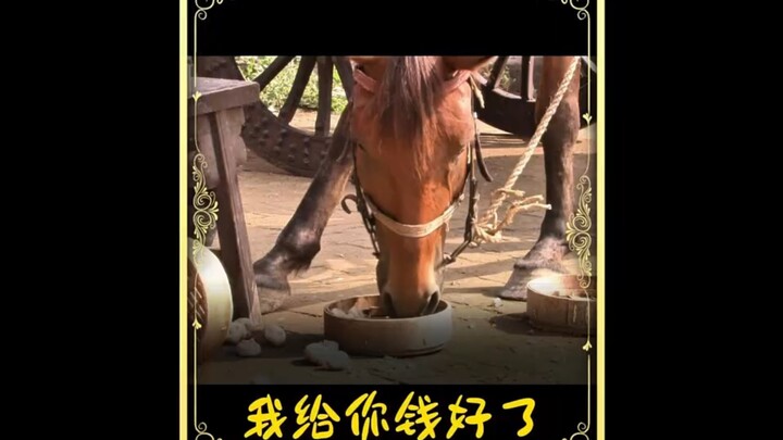 TV Series Commentary: The Grand Mansion