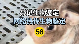 Nhận dạng sinh học nóng trên Internet 56
