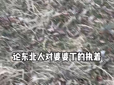 Lại đến mùa mỗi năm đi đào bồ công anh rồi!