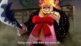 ALL IN ONE l One Piece 1067  || Tóm Tắt Anime 1067 || Tiếp Tập 1067 + 1068