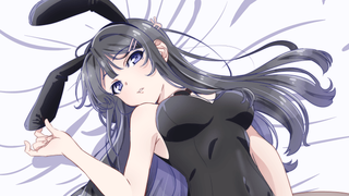 【7月/第二季/雨宫天&种崎敦美】青春猪头少年不会梦到圣诞服女郎(大学生篇) 正式PV1【MCE汉化组】