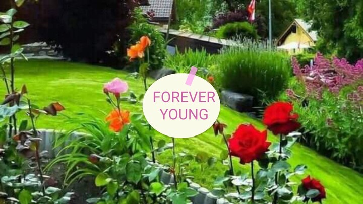 FOREVER YOUNG