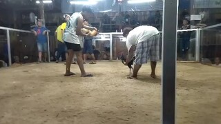Win pang champ