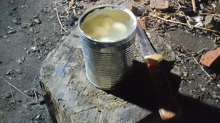 Post-Apocalyptic Cuisine: Canned Mangosteen