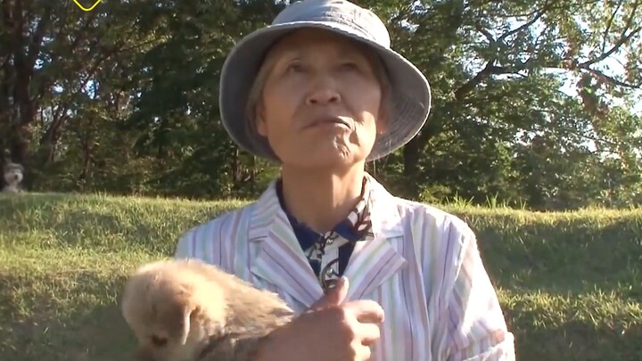 คุณยายวัย 70 แบกลูกหมา 6 ตัวทุกวัน ไปหาแม่สุนัขจรจัด