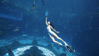 Mimpi Atlantis yang Hilang