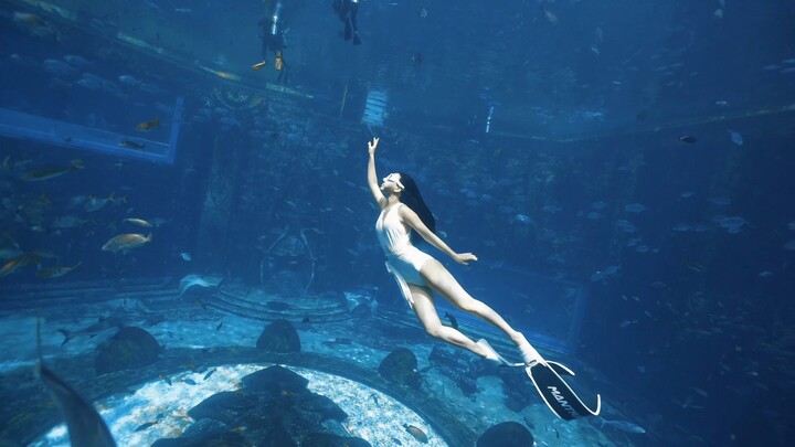 The Lost Dream of Atlantis