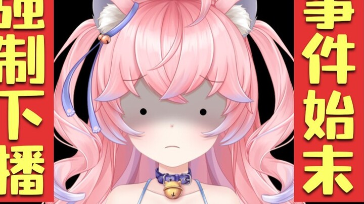 The whole story of how I was taken over by DD and forced to stop streaming. I was possessed by anoth