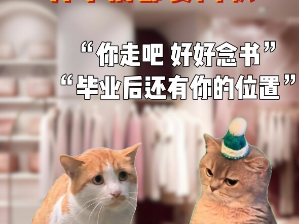 【Mèo memes đời thường】Video mới nhất đã lên sóng, nhanh tay xem ngay!