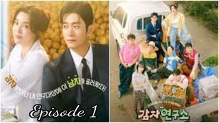 The Potato Lab Season 1 [Episode 1 ] Subtitle Indonesia