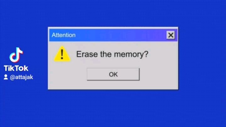 Erase the memory?
