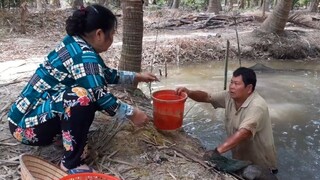 Hôm Nay Mình Đi Đổ Lú Kiếm Cá Về Kho Lạc Chấm Rau Vườn Ăn Cơm Anh ha| TKQ & Family T592